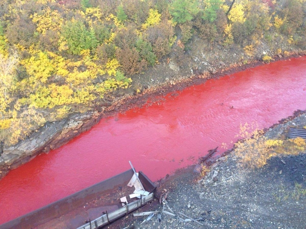 Raudonasis pavojus: kodėl Rusijos upė staiga pasruvo krauju?