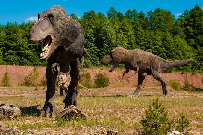 Moksliniai atradimai: dinozaurų evoliucija – visai kitokia?
