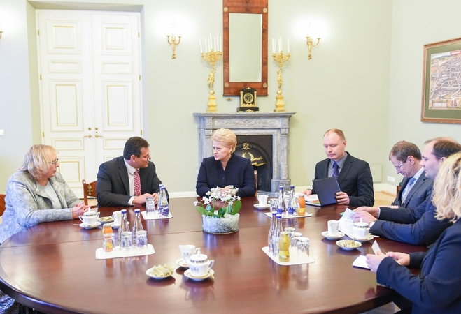 D. Grybauskaitė: Astravo AE saugumas – visos ES rūpestis