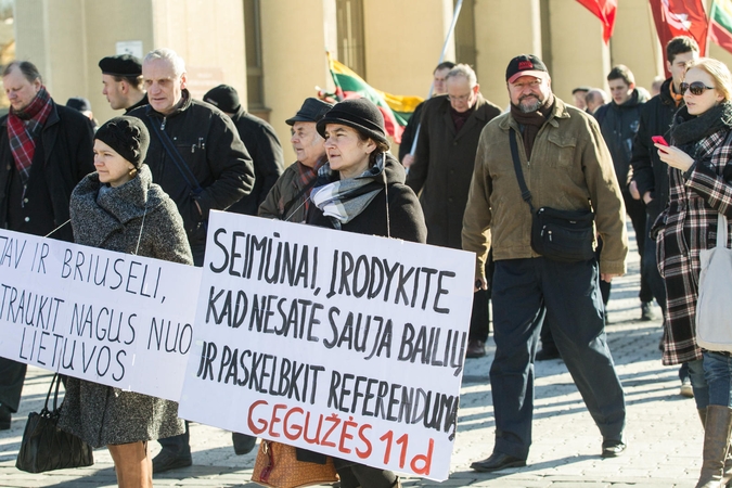 Seimas spręs, ar dėl žemės referendumo kreiptis į Konstitucinį Teismą