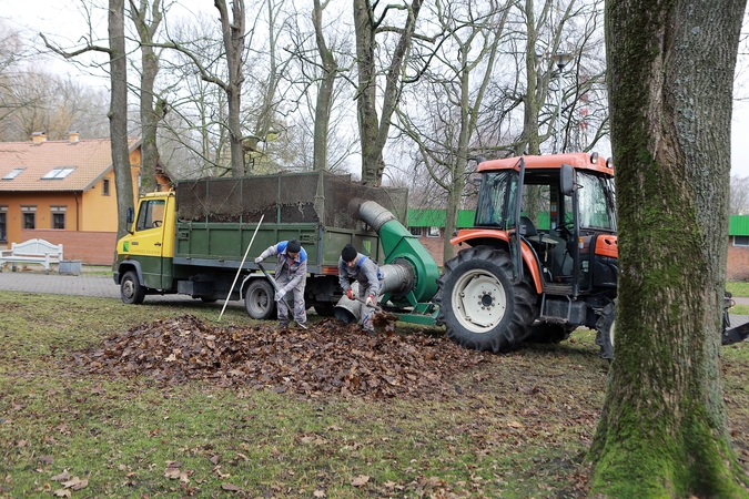Sutvarkyti lapus Klaipėdoje trukdo orai