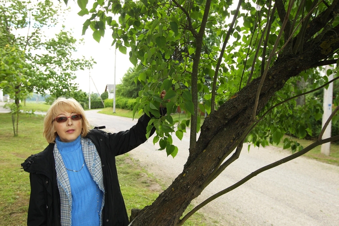 Tebelapoja J. Naujalio gimtinės alyva