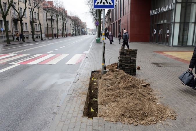 Pėsčiųjų perėja taps šviesesnė