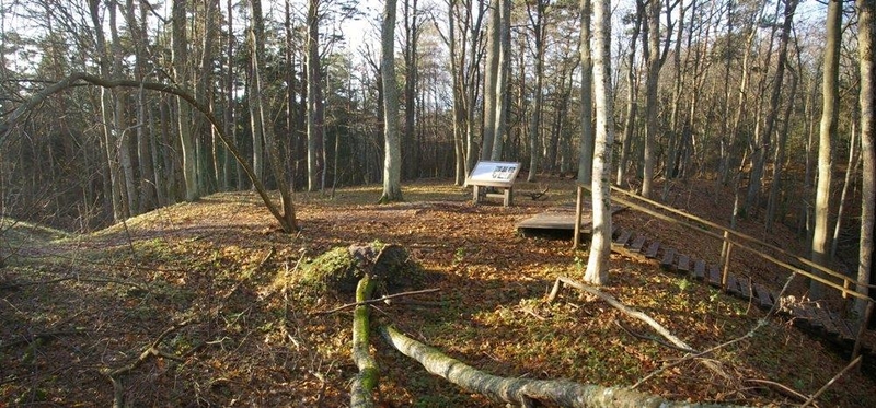 Perspektyva: ketinama leisti archeologams ištyrinėti piliakalnio apylinkes.