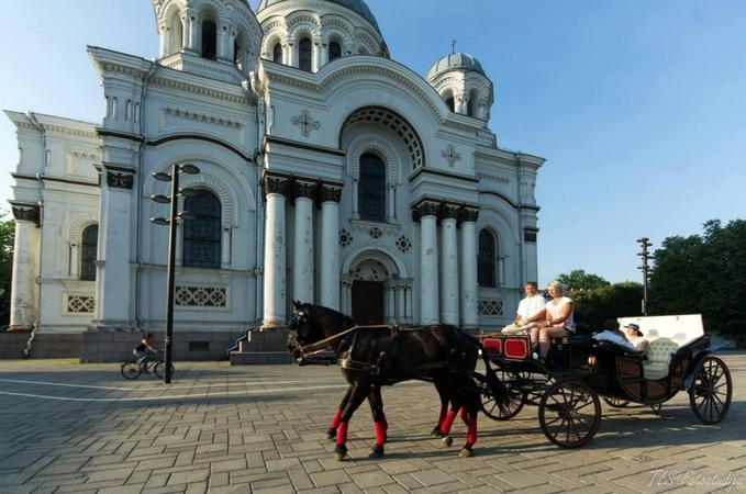 Kauno gatvėmis riedanti karieta – atrakcija ir turistams