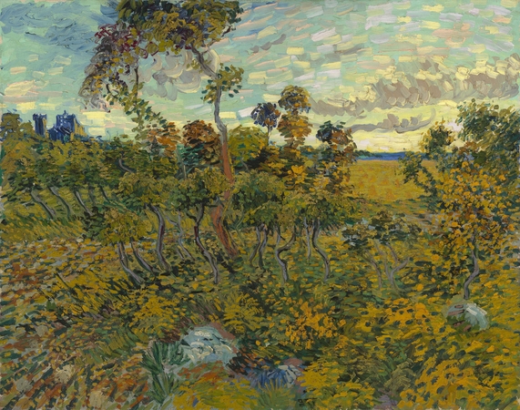 V. Van Gogho muziejaus ekspertai rado dar vieną tapytojo darbą