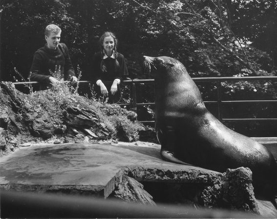Kadras iš filmo "Mano mažytė žmona"