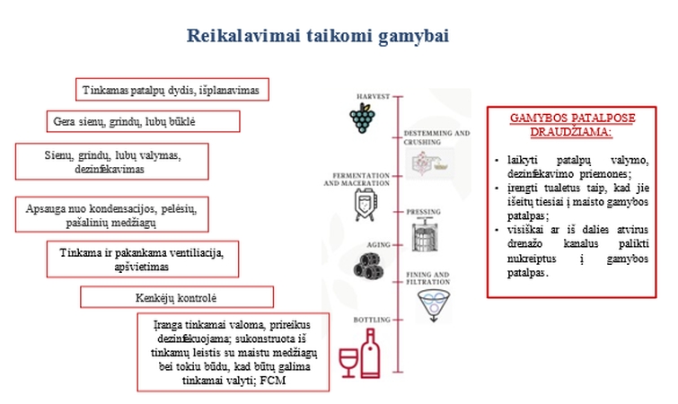 Lietuva tapus oficialia vynmedžių augintojais šalimi: nuo ko ir kaip pradėti? 
