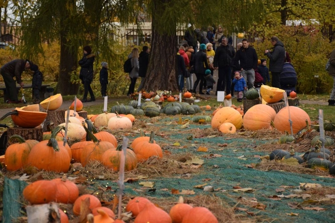 Dovana žvėreliams – 400 kg moliūgų