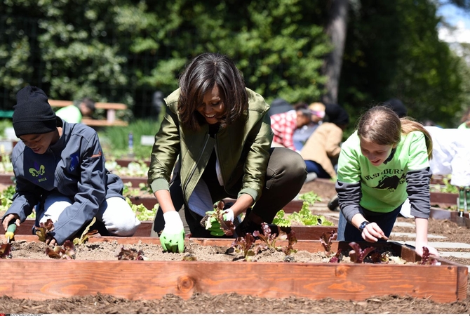 M. Obama paskutinį kartą Baltųjų rūmų pievelėje sodino daržoves