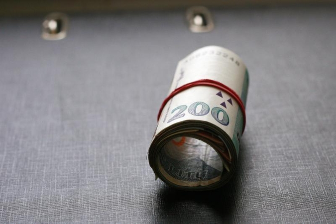 Lietuvos turtas per metus sumažėjo 2 mlrd. litų