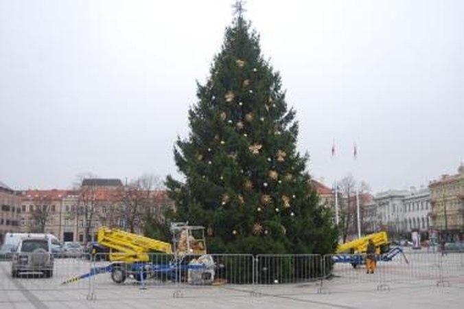 Katedros aikštėje puošiama eglė, statoma prakartėlė