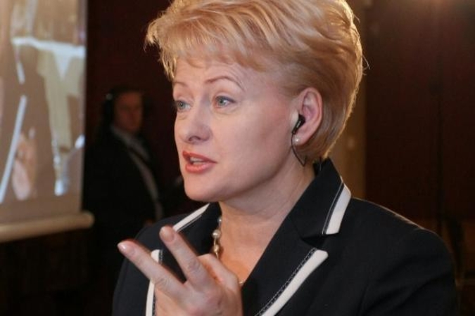 D.Grybauskaitė nepritaria karo kirvio kasimui prieš Rusiją 