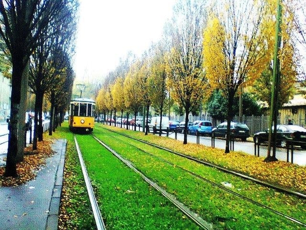 Milano tramvajuose leista vežtis dviračius