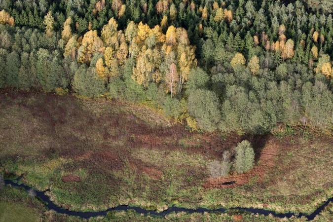Jau galime ruoštis miškams su prabangiomis rezidencijomis?