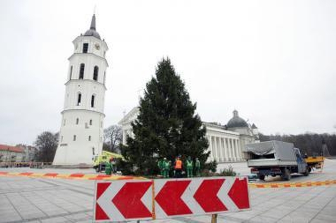 Katedros aikštėje statoma tikra eglė (papildyta)