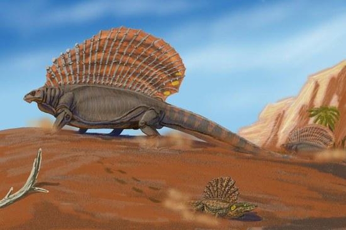 Dinozaurai galėjo būti šiltakraujai, teigia mokslininkai