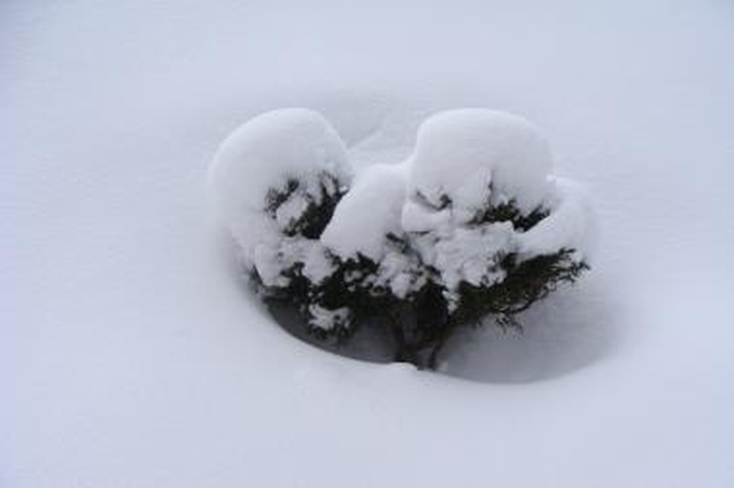 Sibire – sniego žmonių tyrimų institutas