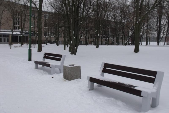 Pagyvenę klaipėdiečiai išsireikalavo suoliukų