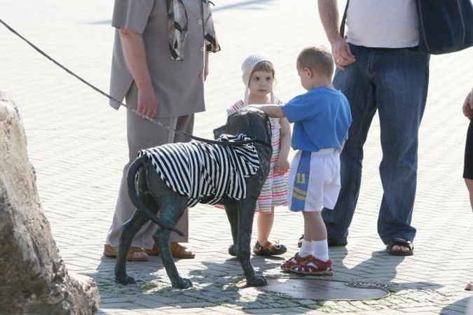 Dingo jūreiviškas šuniuko apsiaustas