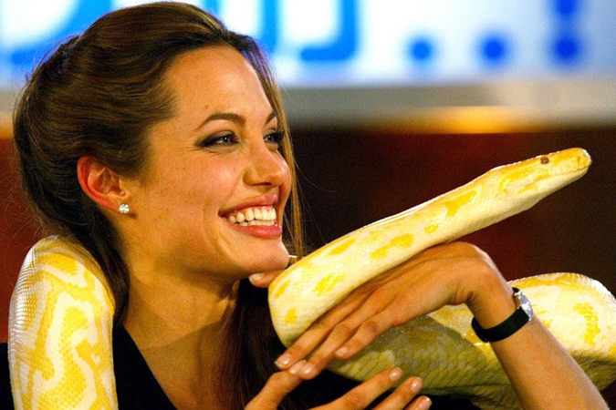 Angelina Jolie kruvinus savo vaikų tvarsčius laiko stiklainyje
