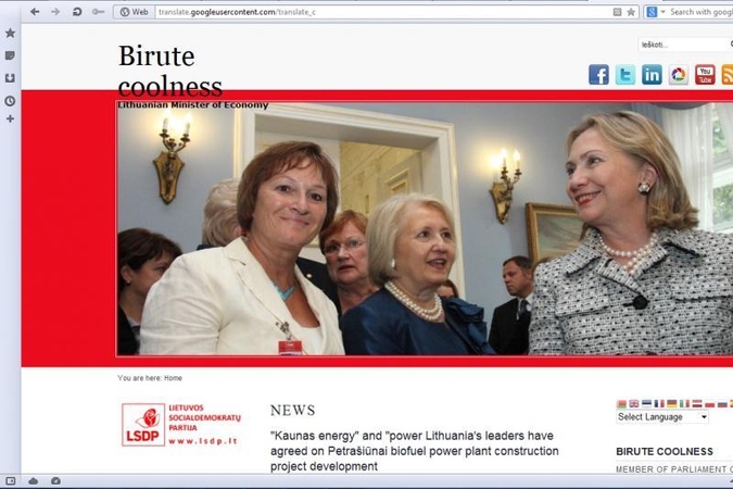 Ūkio ministrė internete prisistato Birute Šauniąja - Svalka