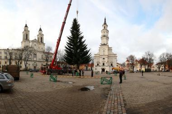 Kaune į Rotušės aikštę atkeliavo Kalėdų eglė (papildyta)
