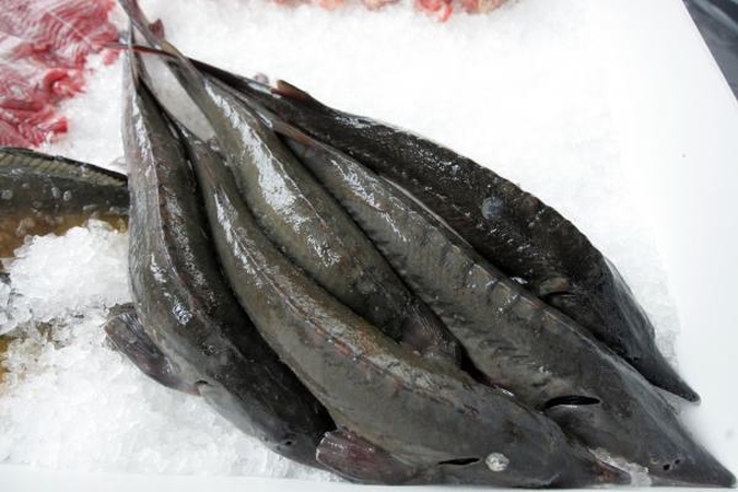 "Kraitenę" įsigijusi "Iceco" ketina plėtoti gamybą, kurti firminių parduotuvių tinklą
