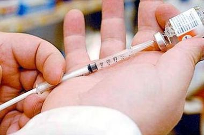 "Darbiečiai": valdžia kalta dėl kiaulių gripo protrūkio