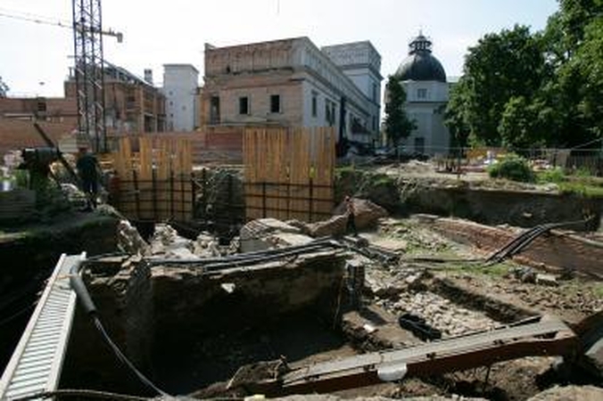 Išvados patvirtina: Valdovų rūmams plano nereikia
