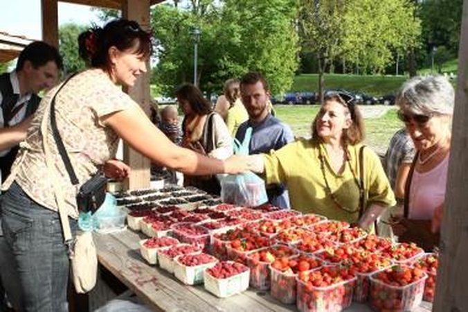 Kalcis ir vitaminas D – tikrai kaulams stiprinti