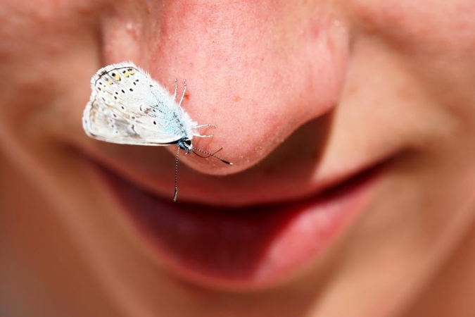 Herpes viruso „pusbrolis“ gali patekti per nosį
