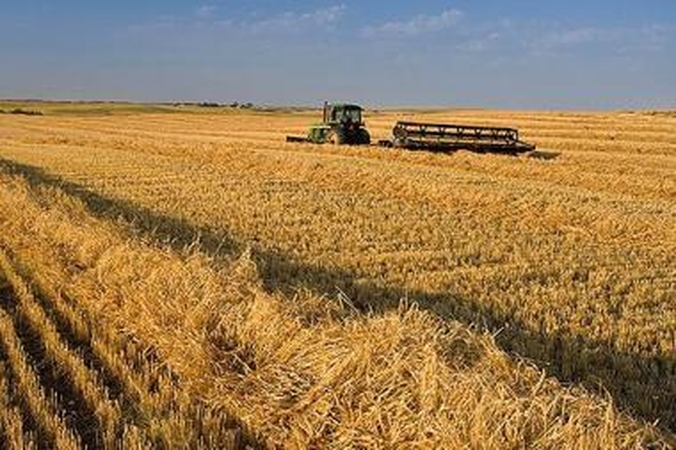 Vyriausybė skyrė iki 294 mln. litų papildomoms žemdirbių išmokoms