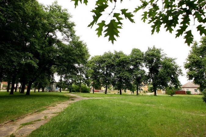 Žaliakalnio skverui – dailininko A.Samulevičiaus-Samuolio vardas