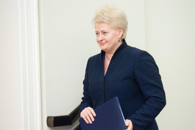 Patarėjas: Prezidentė į koalicijos santykius tiesiogiai nesikiša