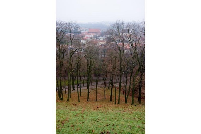 Po Velykų restauracijos darbams uždaromas Sereikiškių parkas