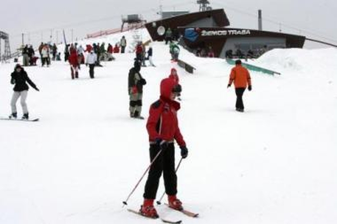 Vilniaus snieglentininkai L.Karaliaus šeimos pagalbos nepastebėjo 