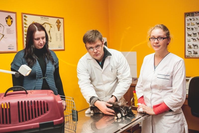Neeilinį žiaurumą patyręs kačiukas – pagaliau mylinčiose rankose