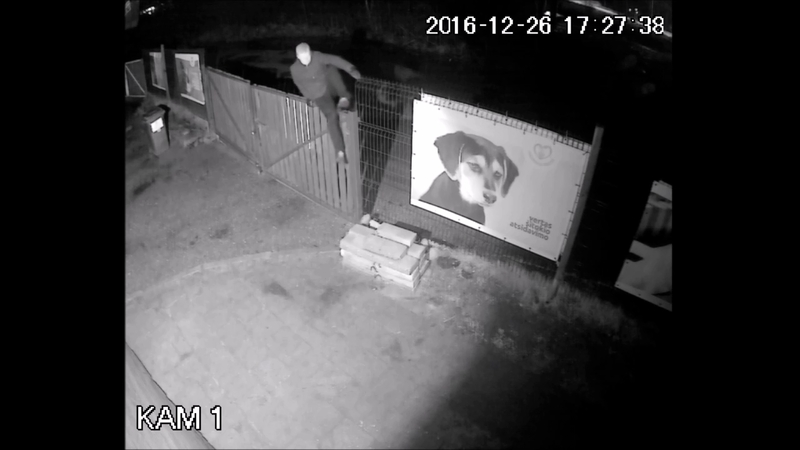 Nesuvokiamas elgesys: įsibrovėlis gyvūnų prieglaudoje sukėlė chaosą