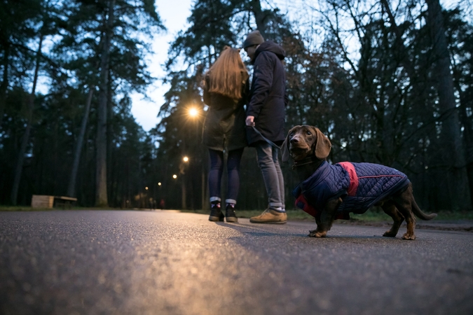 Dainų šventės dalyvius pasitiks moderniai apšviestas Vingio parkas