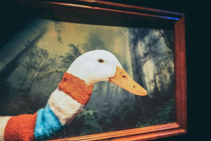 Klaipėdos lėlių teatre – premjera